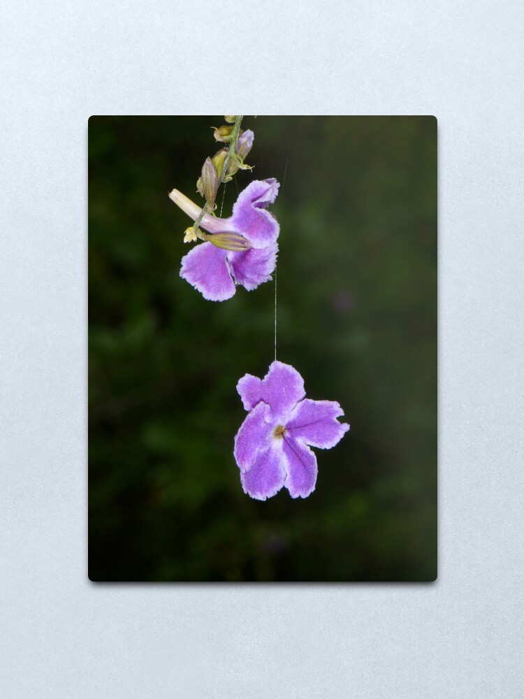 Alternate view of Hanging by a thread Metal Print