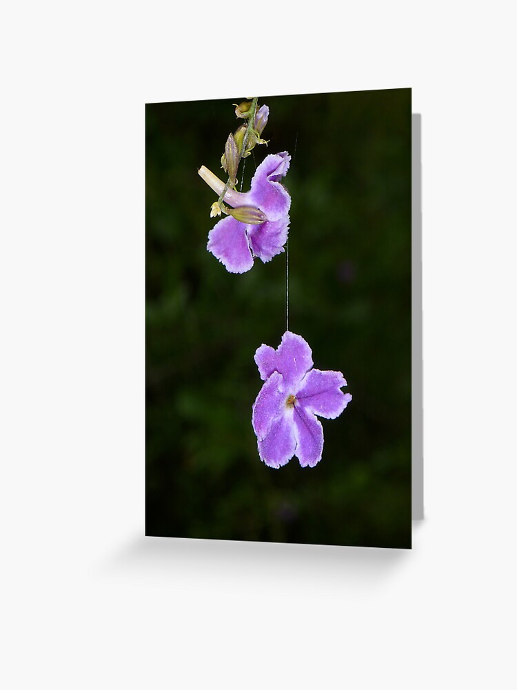 Thumbnail 1 of 2, Greeting Card, Hanging by a thread designed and sold by theoddshot.