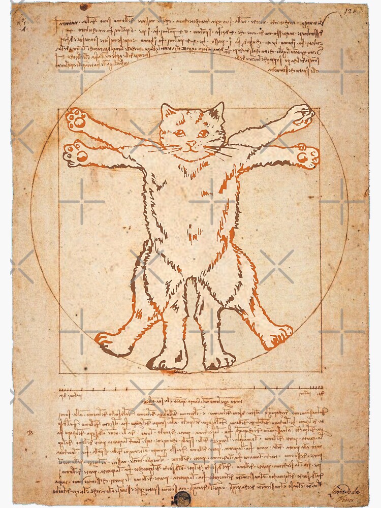 Vitruvian Cat by darklordpug