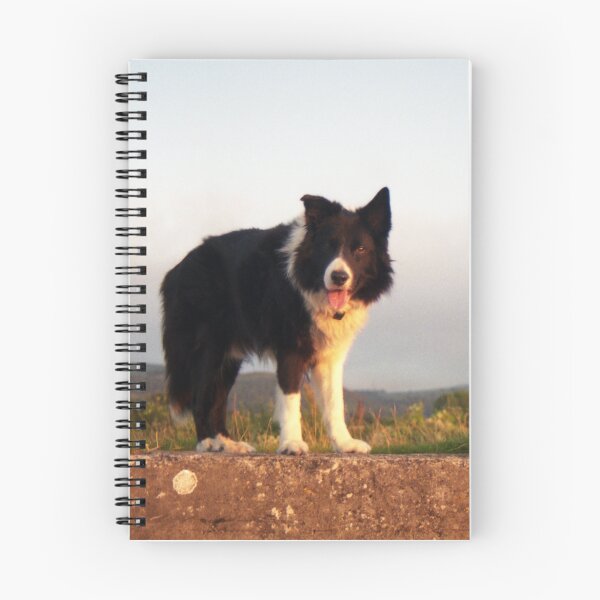 Item preview, Indy and Shela. designed and sold by Michael Haslam.
