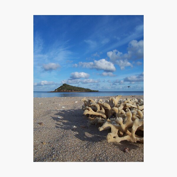 Item preview, Cape Gloucester designed and sold by Jessica Hacking.