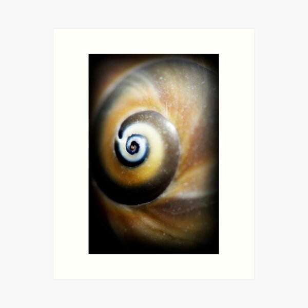 Shark's Eye Spiral Art Print