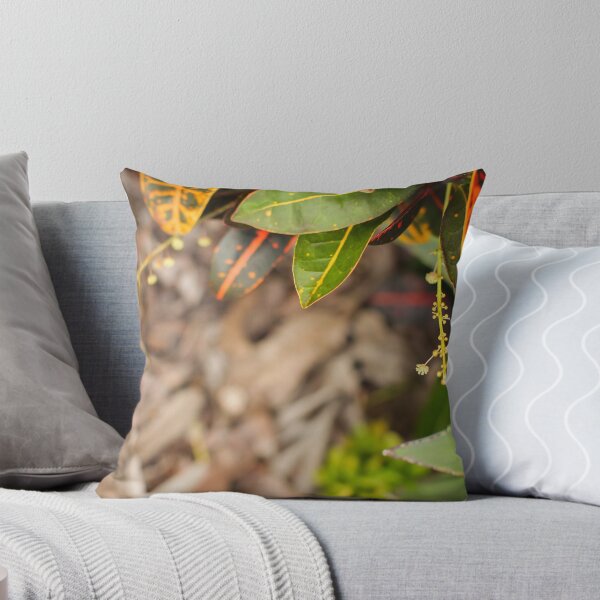 Item preview, Colorful Beautyful natural backdrop with croton plant in sunny day at ptropical park with copy space designed and sold by alexvioletart.