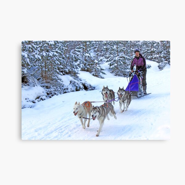 Item preview, Sled Dog Racing designed and sold by Mike Paget.