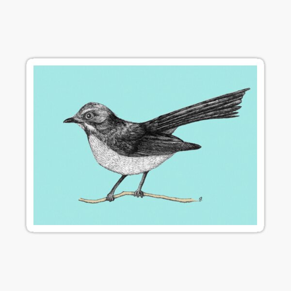 Willy Wagtail Sticker
