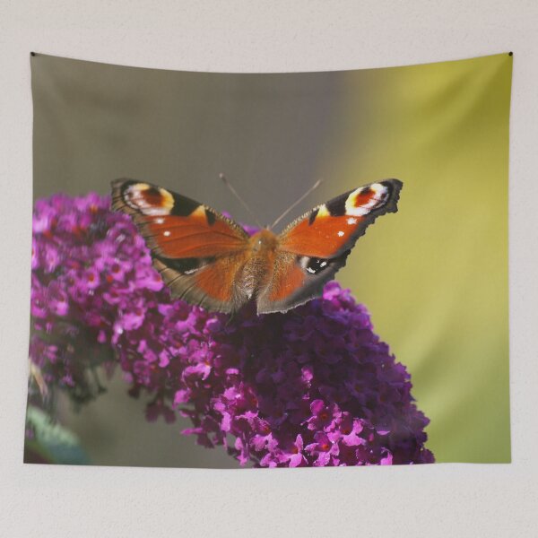 Item preview, Resting Peacock Butterfly on Buddleia designed and sold by RJBPhotoDesign.