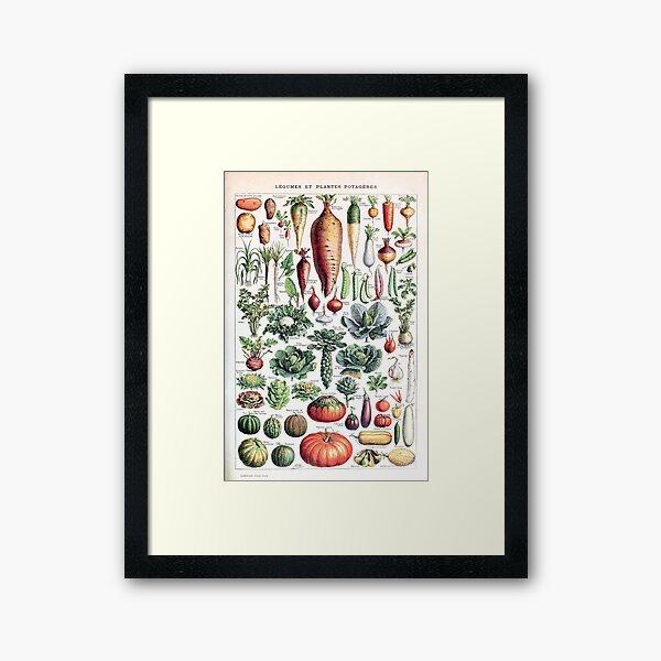 Adolphe Millot - Légumes pour tous - French vintage poster Framed Art Print
