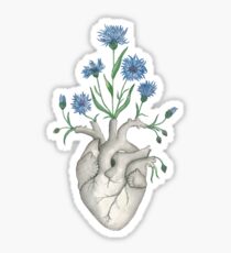 Floral Heart: Human Anatomy Cornflower Mothers Day Gift Sticker