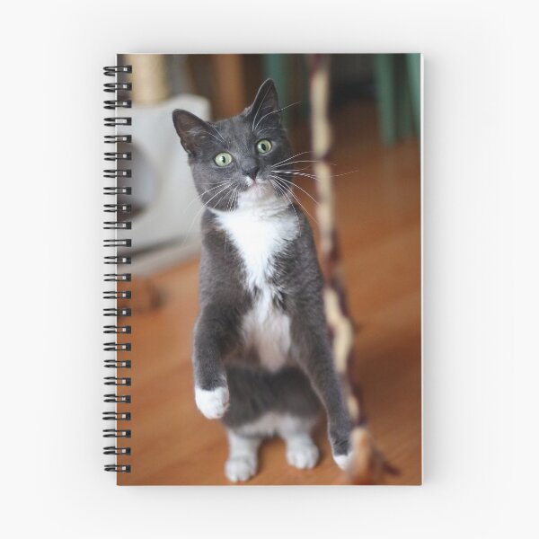 Item preview, Meer-cat designed and sold by GreyFeatherPhot.
