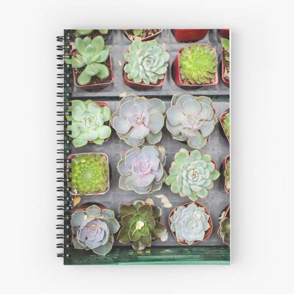 Item preview, Top view of many different variety and colorful young succulent plants in small pots for sale in the market. designed and sold by alexvioletart.
