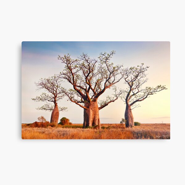 Trinity Metal Print