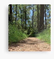 Australian Bush Walk Metal Print