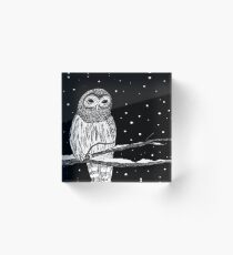 Barred Owl in Snow Acrylic Block