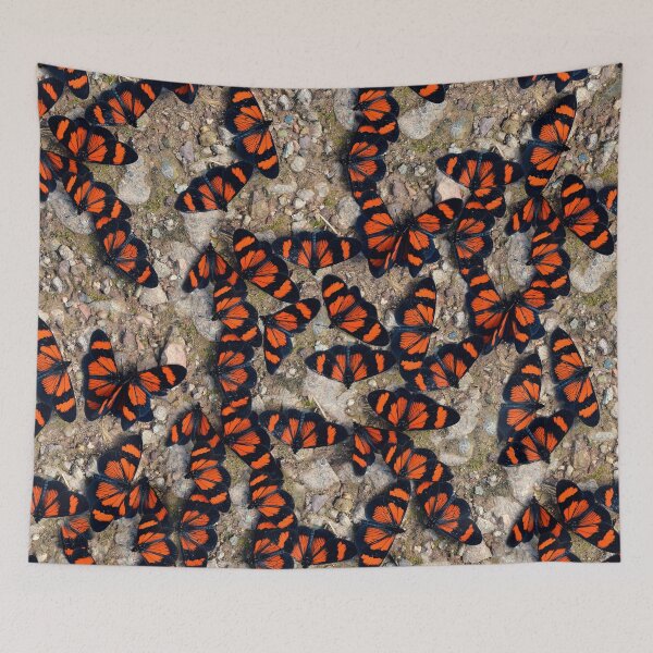 Item preview, Red-banded Altinote Peru designed and sold by Schoensl.