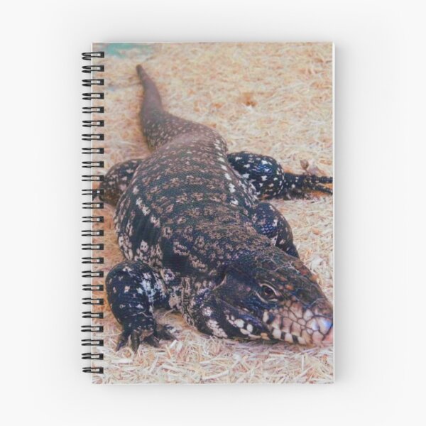 Item preview, Tegu Lizard designed and sold by WildestArt.