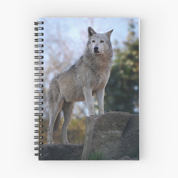 Item preview, Wolf designed and sold by Declan Carr.