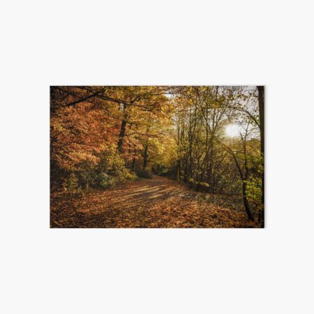 Autmn Woods Art Board Print