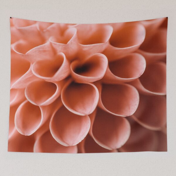 Item preview, Dahlia Detail designed and sold by ALICIA BOCK.