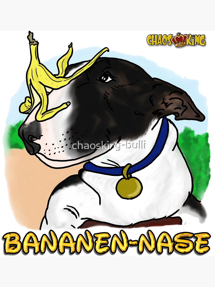 Banana nose best sale bull terrier