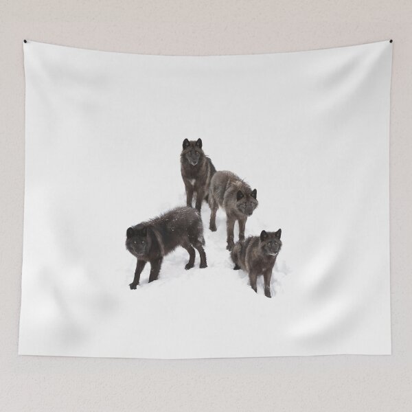 Item preview, Black wolf family designed and sold by James Cumming.