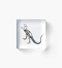 Hilarity Dinosaur Acrylic Block