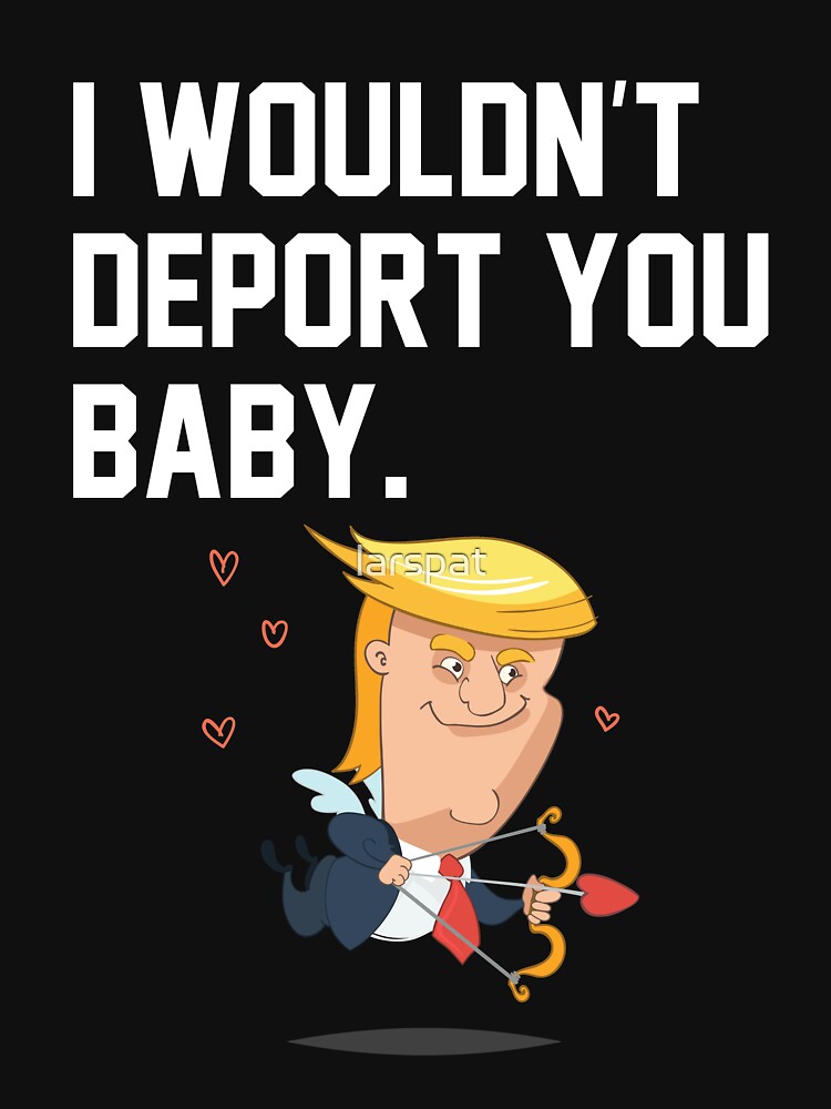 i wouldn t deport you valentines day card