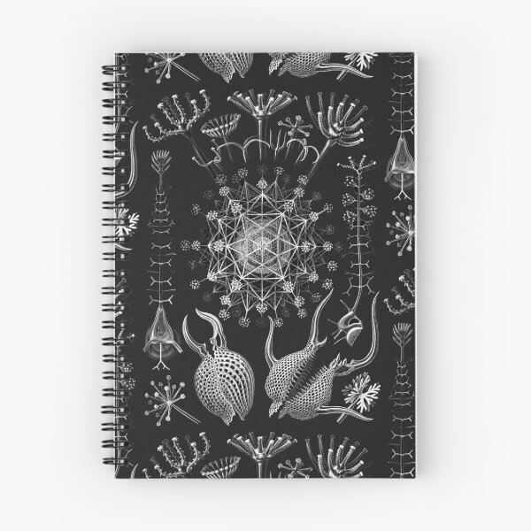 Item preview, Ernst Haeckel - Phaeodaria designed and sold by ShaMiLaB.