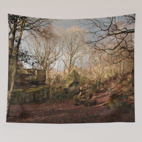 Item preview, Adel Crag in Winter designed and sold by MigBardsley.