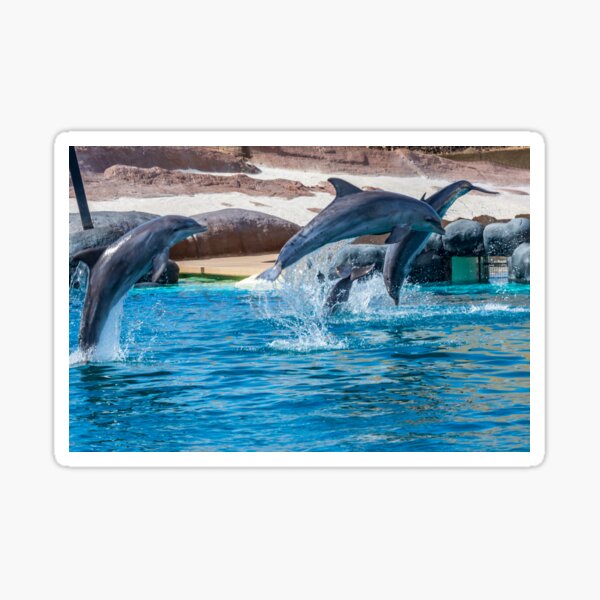 Item preview, Leaping dolphins designed and sold by iCimages.net.