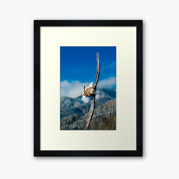 Crosswind Framed Art Print