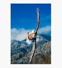 Crosswind Photographic Print