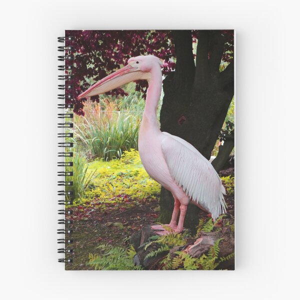 Item preview, Pink Pelican designed and sold by Ellina.