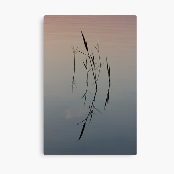 Straws on the Water Canvas Print