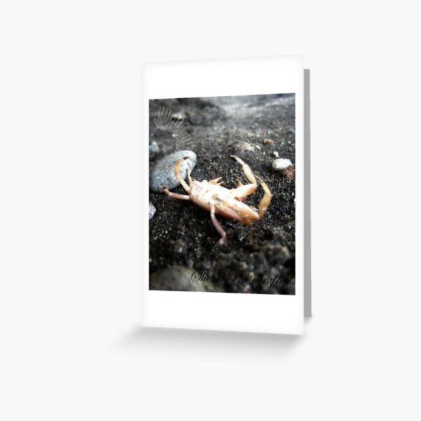 feeling crabby Greeting Card