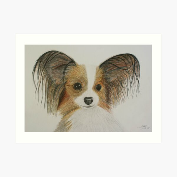 Papillon Art Print