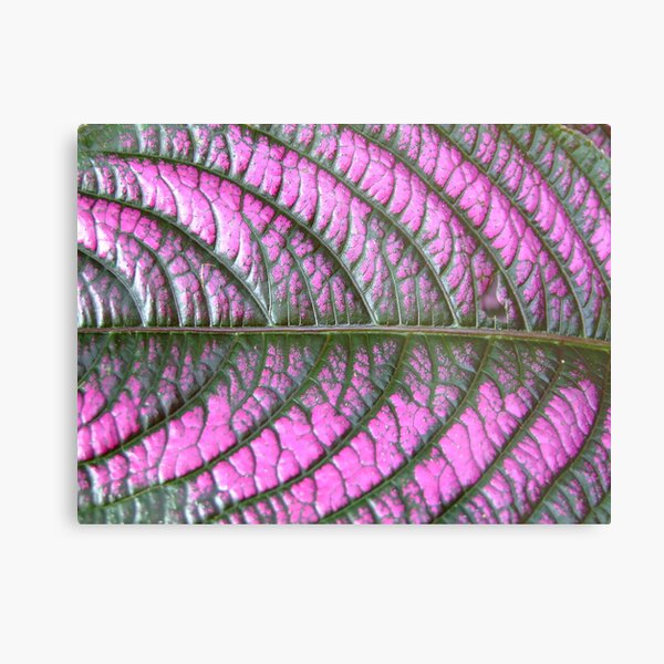 which way is up? Metal Print