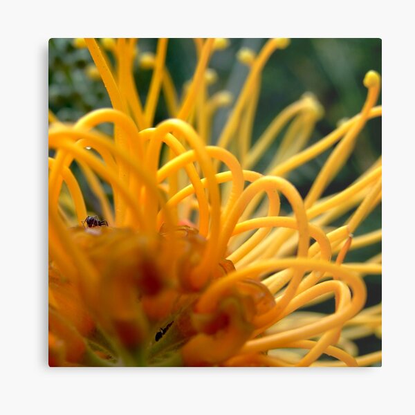 Ant's life! Metal Print