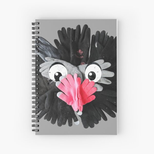 Spiral Notebook