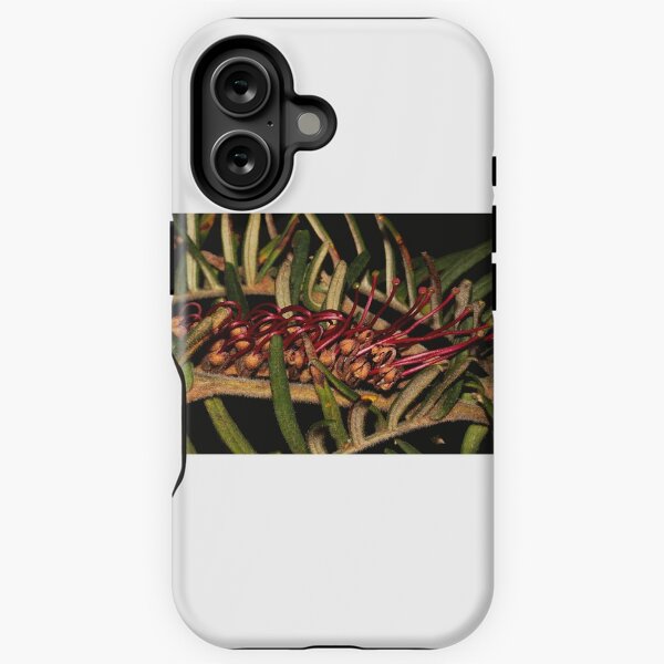 Item preview, Grevillea caleyi designed and sold by andrachne.