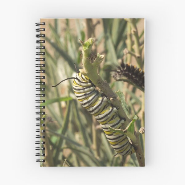 Item preview, 455 Monarch Butterfly Caterpillar designed and sold by ptosis.
