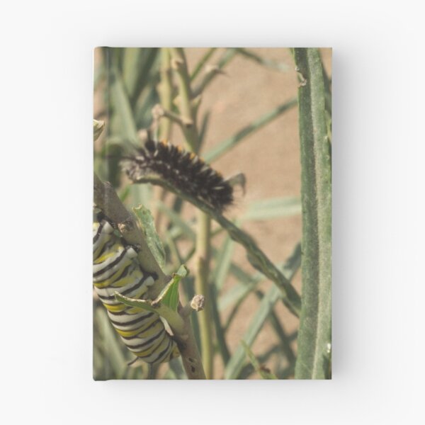Item preview, 455 Monarch Butterfly Caterpillar designed and sold by ptosis.
