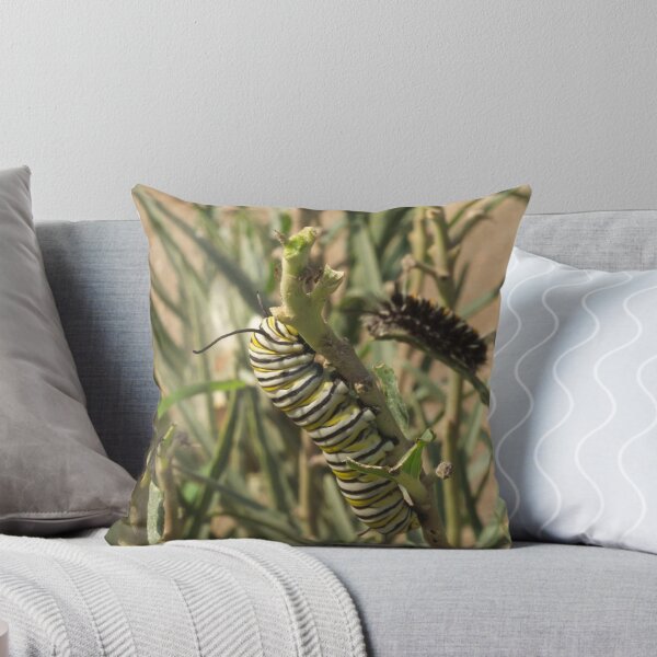 Item preview, 455 Monarch Butterfly Caterpillar designed and sold by ptosis.