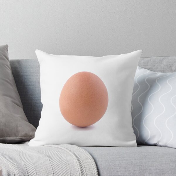 Item preview, world_record_egg  designed and sold by AliJoubir.