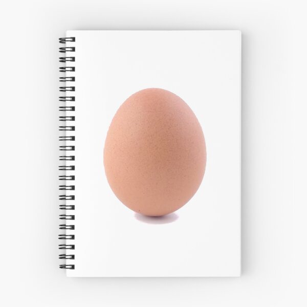 Item preview, world_record_egg  designed and sold by AliJoubir.