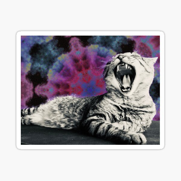 Psychedelic cat Sticker