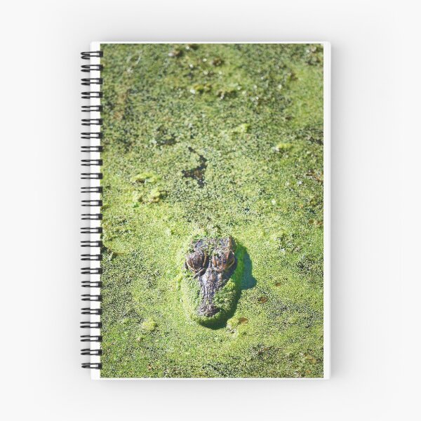 Item preview, Camouflage designed and sold by YelloCoyote Photography.