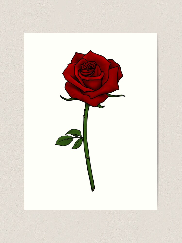 絵画 Red Rose Amazon.com: Vintage Black Art Painting Red Rose Wall Art
