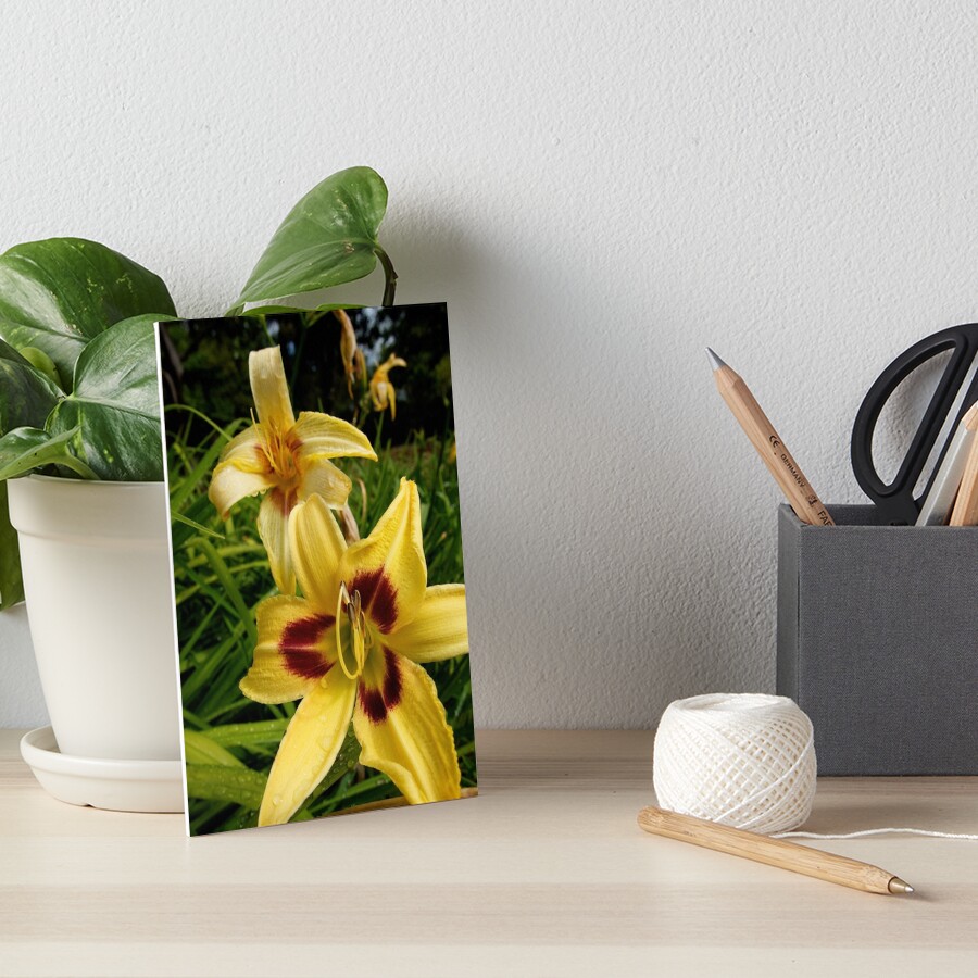 Yellow Daylily from the Gardens at Lake Merritt Art Board Print