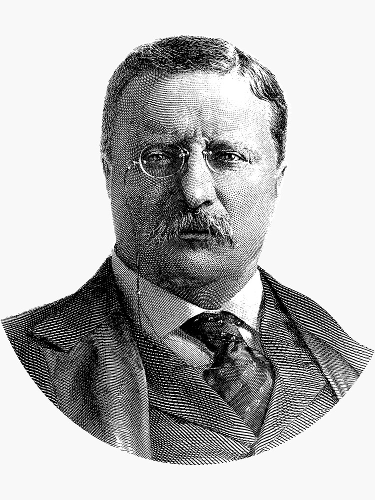 “President Theodore Roosevelt Graphic” Sticker by warishellstore