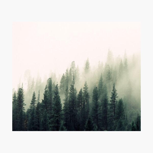 Item preview, Forest designed and sold by bohoDecor.